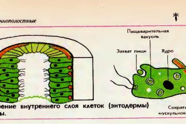 Kraken как найти ссылку