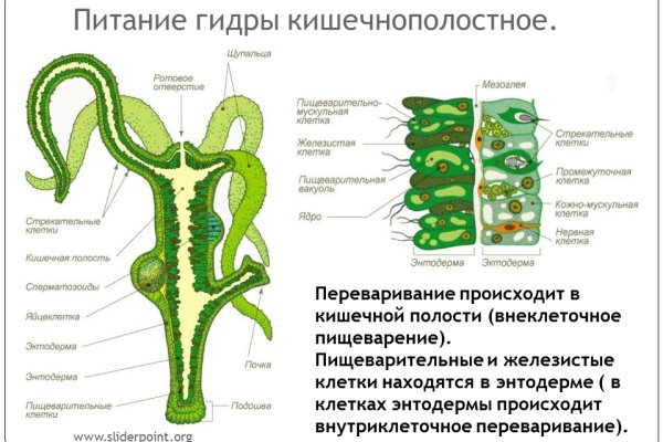 Почему не работает кракен сегодня