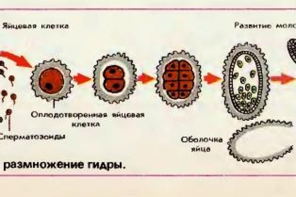 Кракен это что за магазин