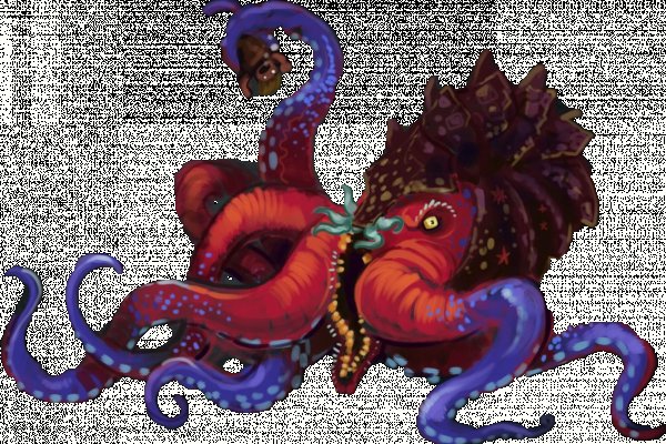 Kraken19at